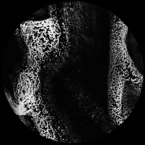 BCCO Premiere: Dahveed - Akimbo  [DAH002]