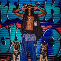 FREESTYLE XE