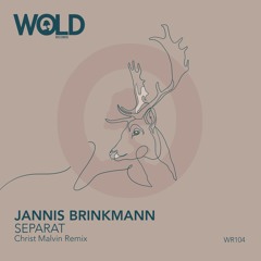 JANNIS BRINKMANN - Separat (CHRIST MALVIN Remix)