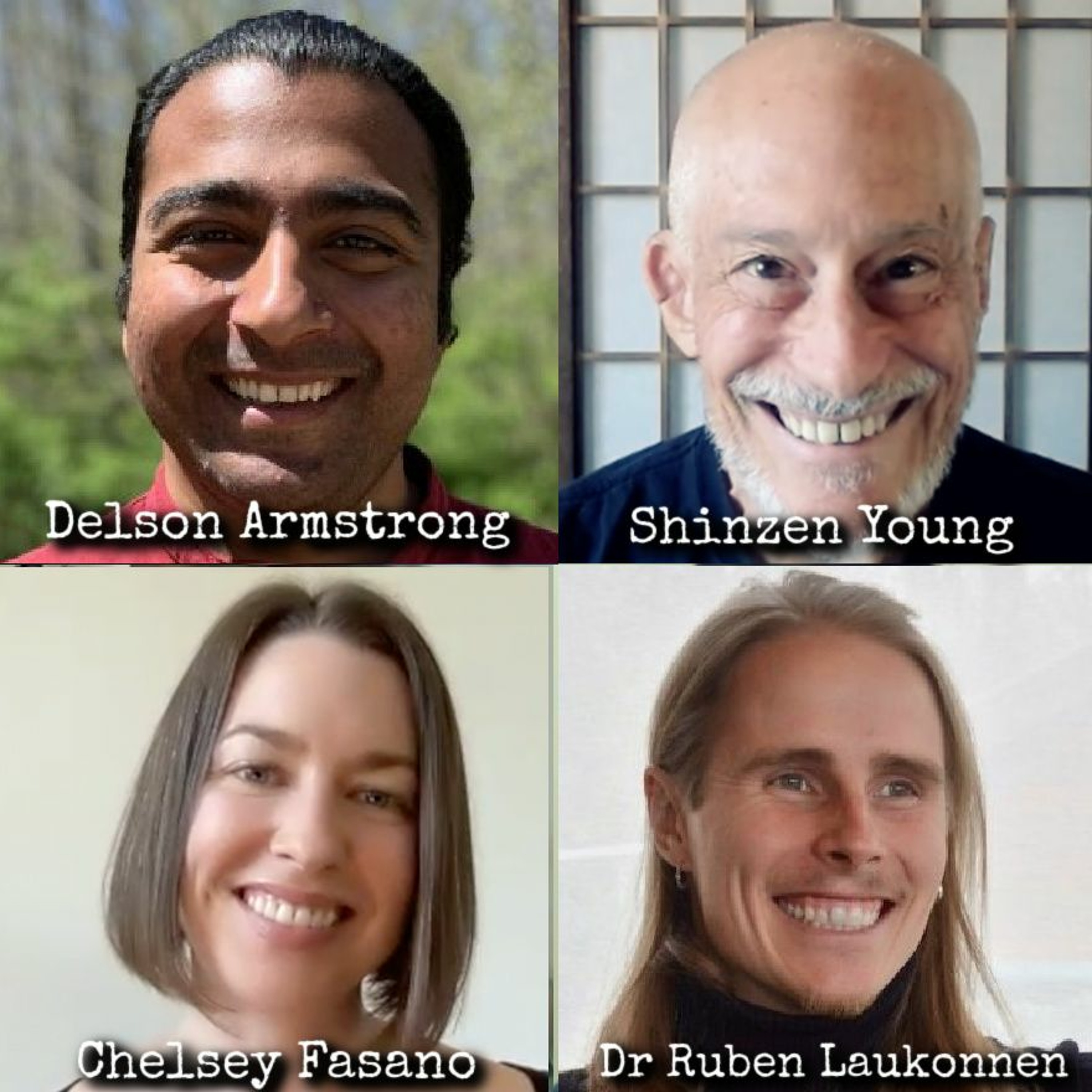 Ep201: Revealing Nirodha Samāpatti - Delson Armstrong, Shinzen Young, Chelsey Fasano, & Dr Laukkonen