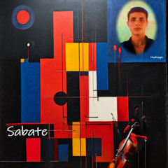 Violoncello and Piano By Nadiege Sabate No.104