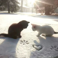 to you, for you