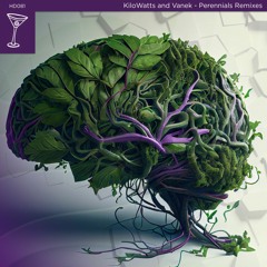 KiloWatts And Vanek - Nankurunasia (Pointbenders Warehouse Dub)