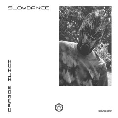 SD 228 . Dragoș Ilici