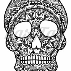 Debrey / Revelation Set (Brazilian Bass)