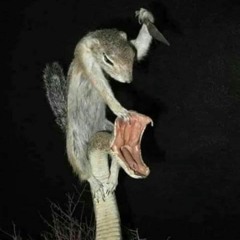 COVID 19 DISS TRACK TYPE BEAT