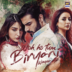 Woh Ho Tum | Biryani | OST 🎶 | Waqar Ali | ARY Digital