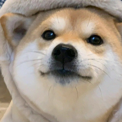 RING POP - MATT WATTSON AND FATHER