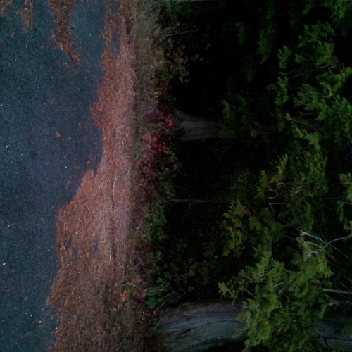 Weirdo Chill XDJ Meanders (Fall 2019)