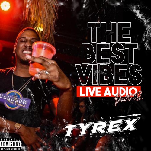 Dj Tyrex The best Vibes Part2 Live Audio