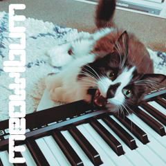 14 - Theme from the TV Show BOTCHED