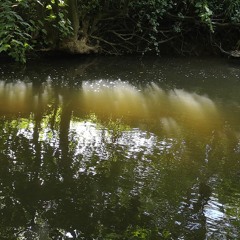 Submerged : The River Frome 5