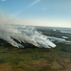 Los incendios en las islas del Paraná y la urgencia de una ley de humedales | Bruno Rodriguez