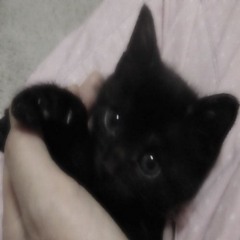 right quick (prod. Troiner)