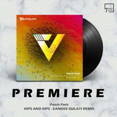 PREMIERE: Patch Park - Hips And Dips (Zankee Gulati Remix) [VAPOUR RECORDINGS]