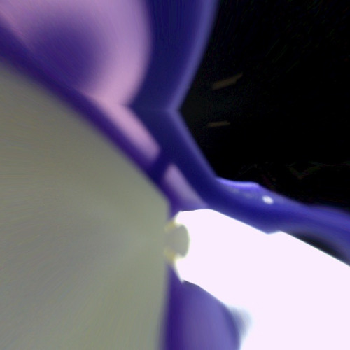 Omni One