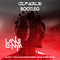 Alok, The Chainsmokers & Mae Stephens - Jungle (LanniCenta Remix)