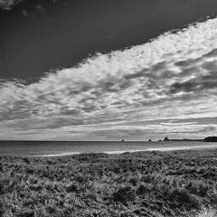 Ōakura, North Island, Aotearoa, New Zealand