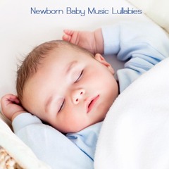 Night Sleep Music