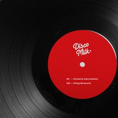 PREMIERE: Super Paolo - Disco Diva [Disco Milk]