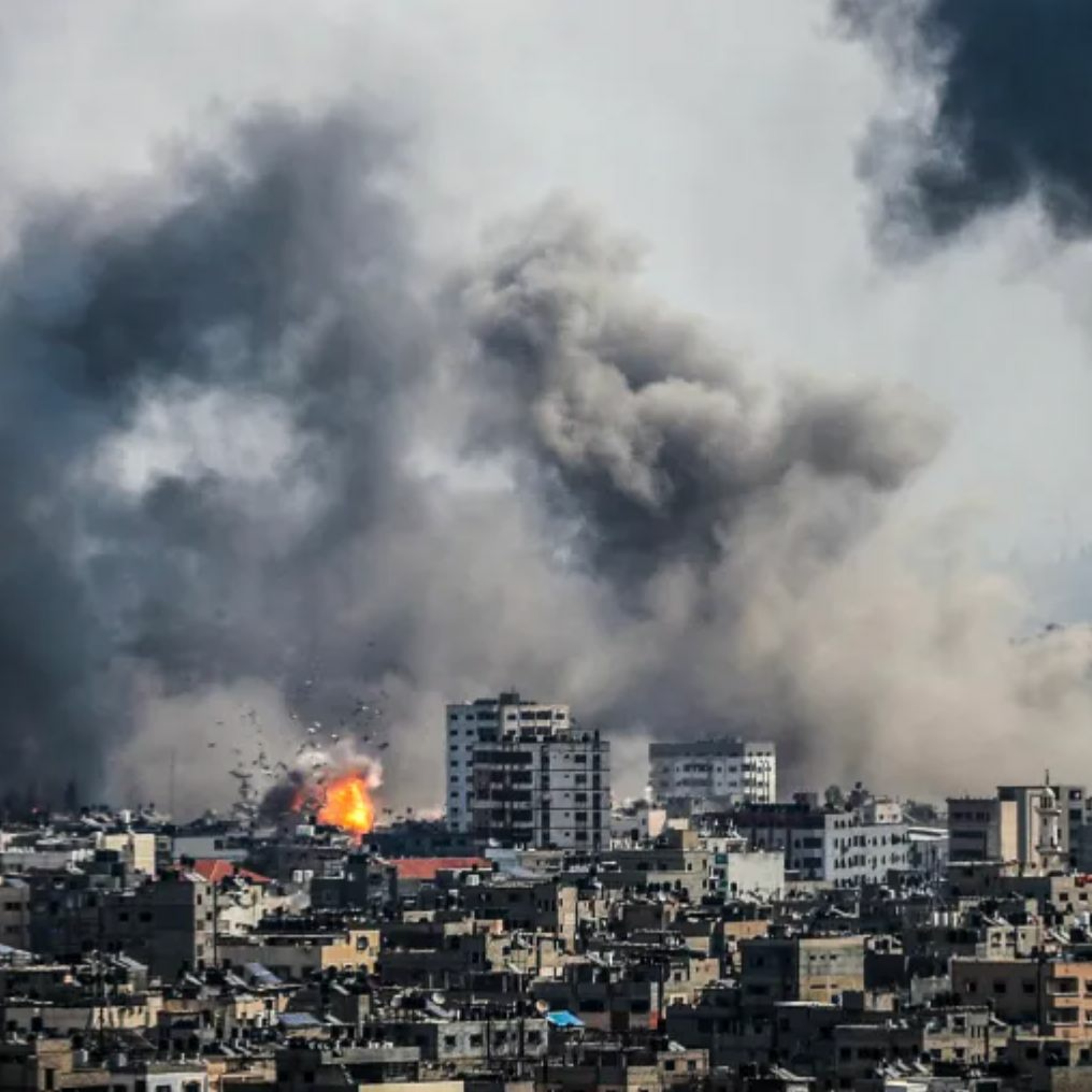 Israel's genocidal war on Gaza w/ Lara Friedman and Paul Rogers episode artwork