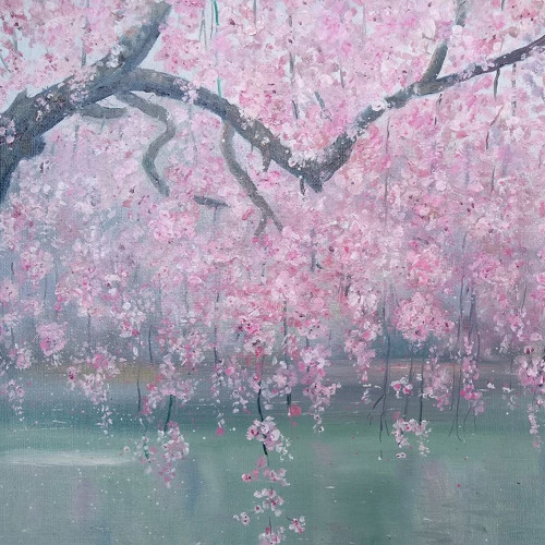 sakura trees prod cm