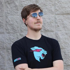 mr beast (choppahitlikespinz808 wickhrs )
