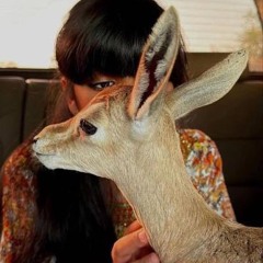 راس المعزة - عيضه المنهالي