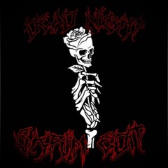 Dead Night (SKR!M EDIT)