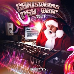 Tarumã - Old Chipset (170 bpm)- VA Christmas Psy Trip Vol. 1
