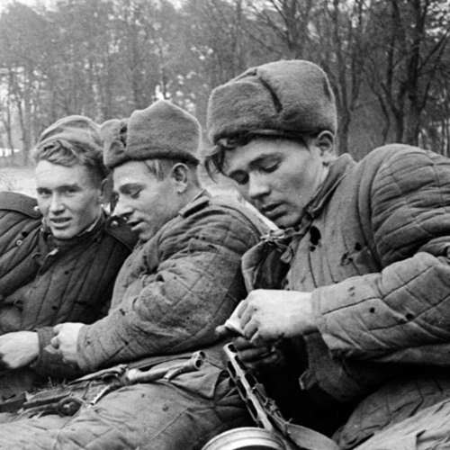 Нас не нужно жалеть