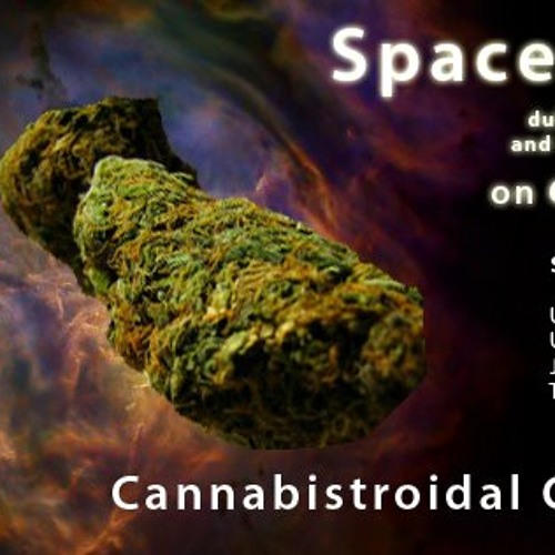 Cannabistroidal Collision (Qbist Spacedubs 22.07.2012)