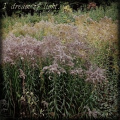 I dream of light