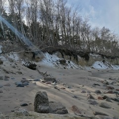 LSD dream emulator - Happy Town (Ambient) - E