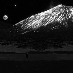 WALK THROUGH - NICO PETRI