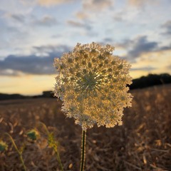 T-MAN - Another Dimension