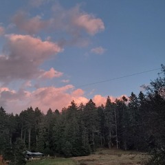 Chill Playlist