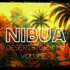 NIBUA - DesertStorm : Volume.1