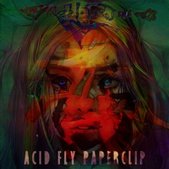 Acid Fly Paperclip - raw mix