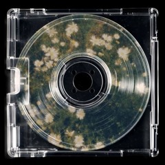 Untitled Playlist