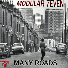 MANY ROADS  Feat Thir13een
