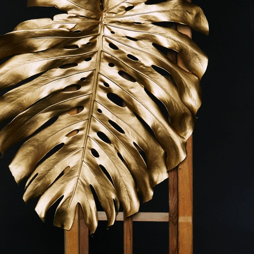 الزيف يُعيق النمو الروحي