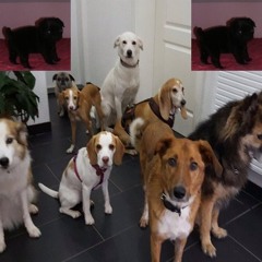 mädchen mit dem süßen kleid *___*