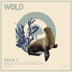 ONUR Y - Back For Attention (Original Mix)