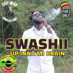 SWASHII - Up Inna Mi Brain / TruMon Dubplate