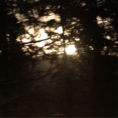 Sensive (2025 Reissue)