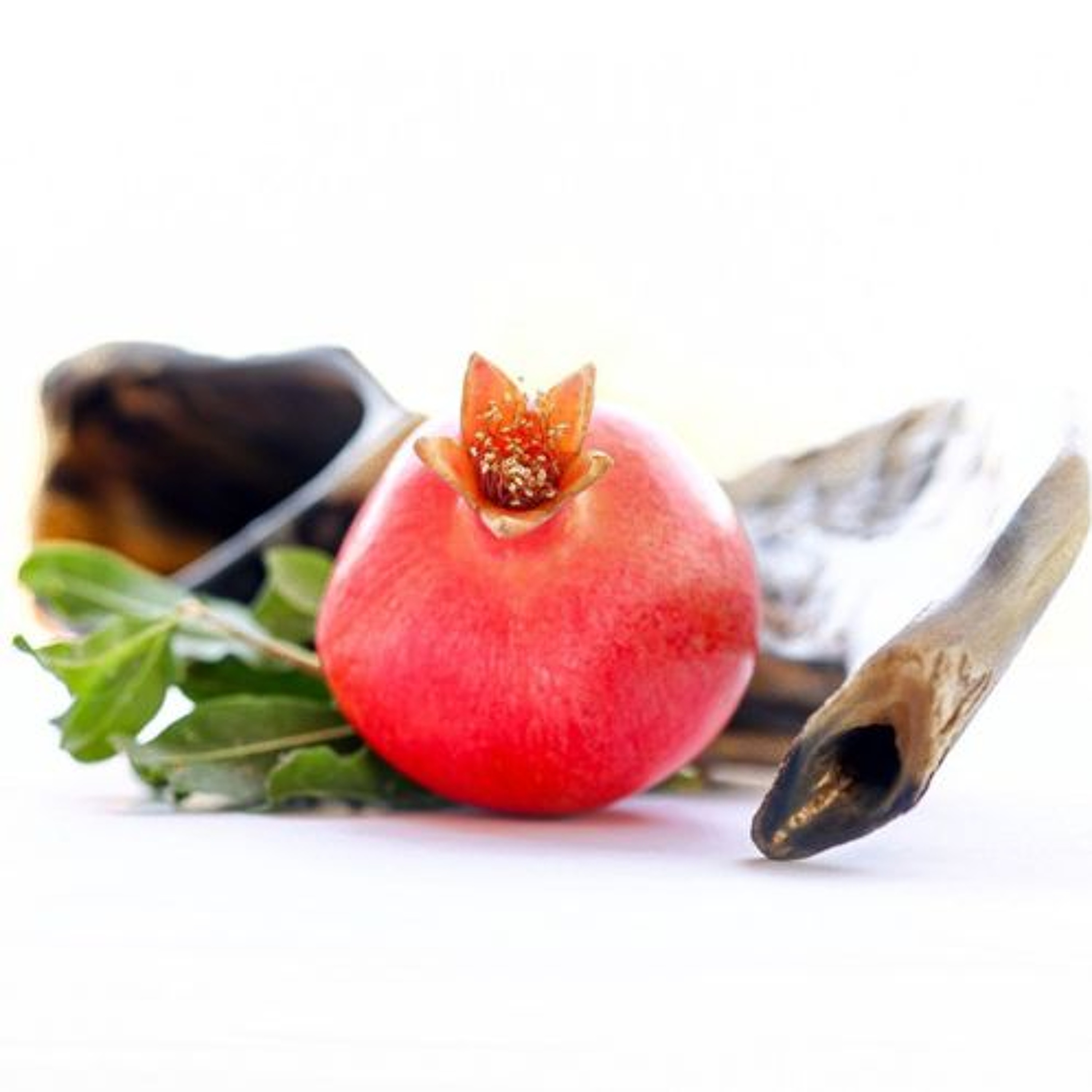 Rosh Hashanah Paradox - Tehila Gimpel: The Land of Israel Fellowship