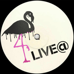 Schwarzer Flamingo 12.03.2022