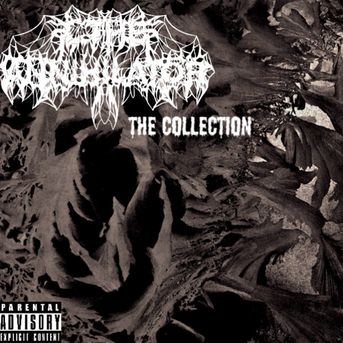 The Collection