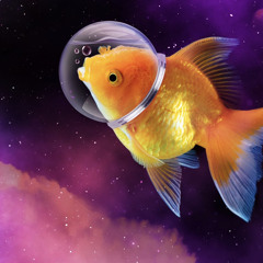 Tako - FSH IN THE WTR